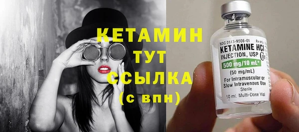мдпв Ельня