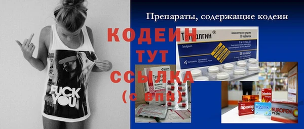 мдпв Ельня