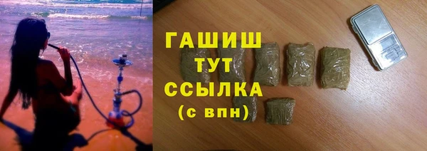 мдпв Ельня