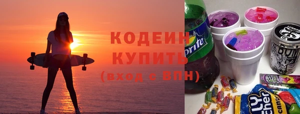 мдпв Ельня