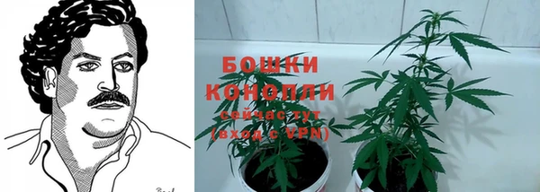 стаф Елабуга
