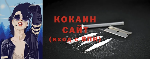 мдпв Ельня