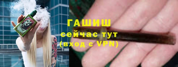 стаф Елабуга
