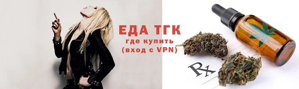 мдпв Ельня
