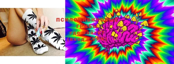 стаф Елабуга