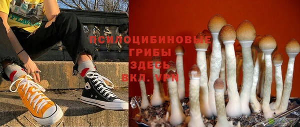 мдпв Ельня