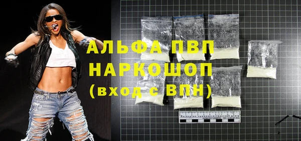 мдпв Ельня