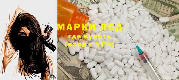 мдпв Ельня