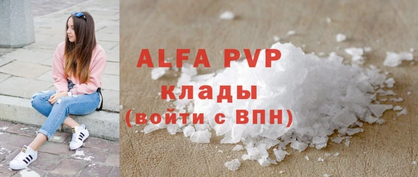 мдпв Ельня