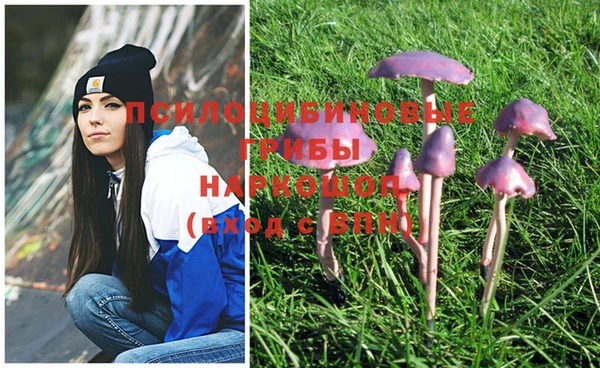 мефедрон Елизово