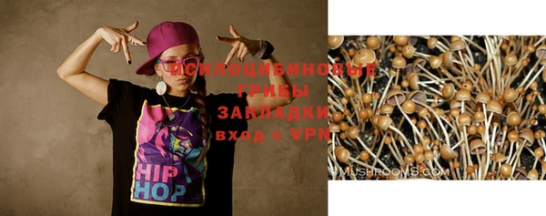 мдпв Ельня