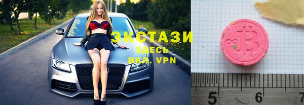 мдпв Ельня